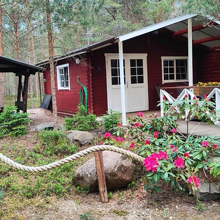 Nova Madise Guesthouse Rannaküla Kültér fotó