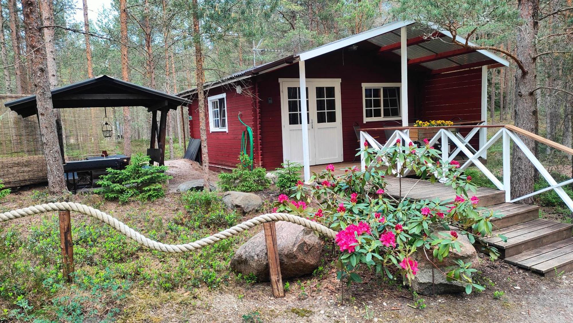 Nova Madise Guesthouse Rannaküla Kültér fotó