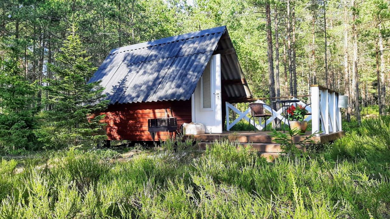 Nova Madise Guesthouse Rannaküla Kültér fotó