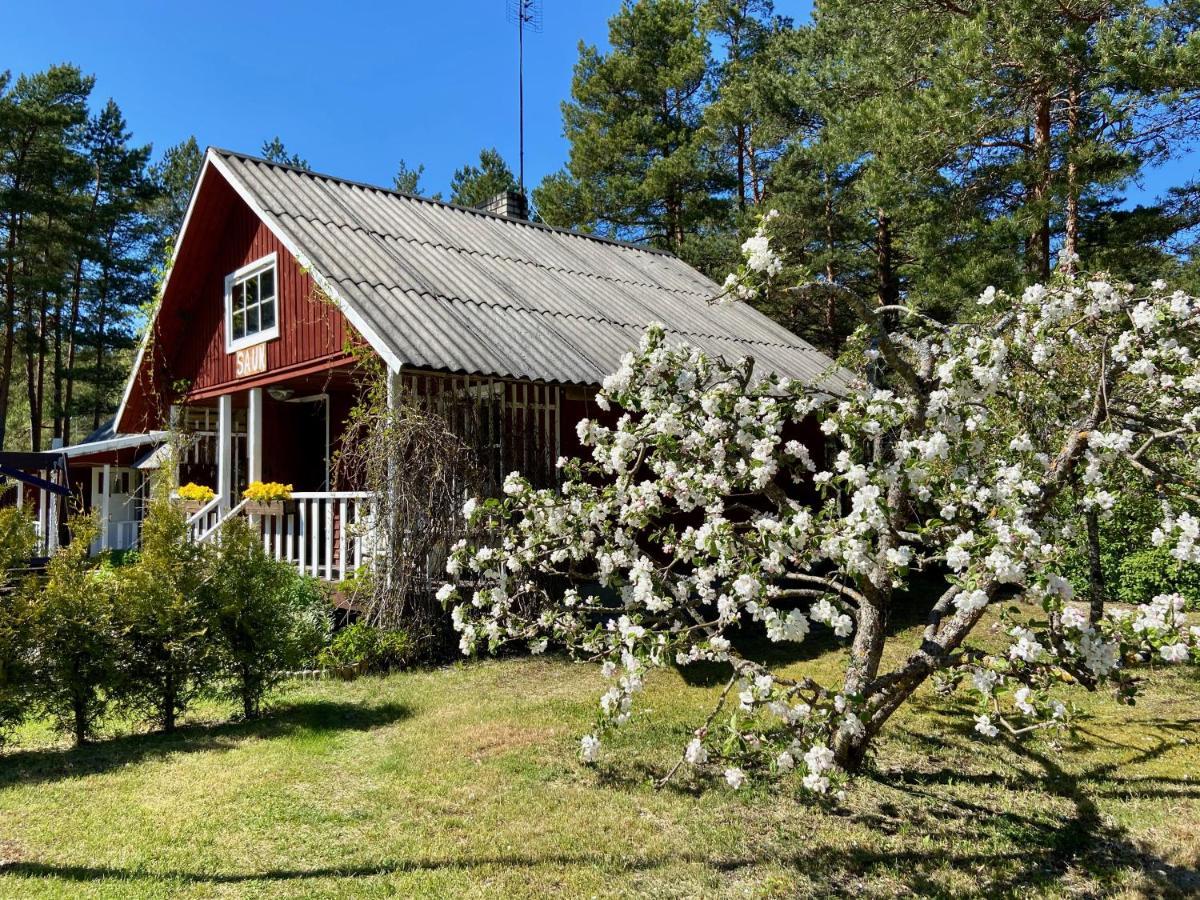 Nova Madise Guesthouse Rannaküla Kültér fotó